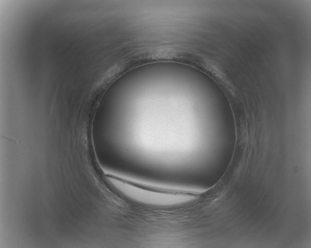 X0000067000681200604142259