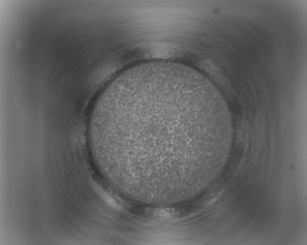 X0000067000683200604142259