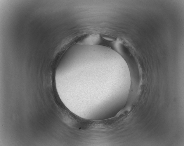 X0000067000685200604142259