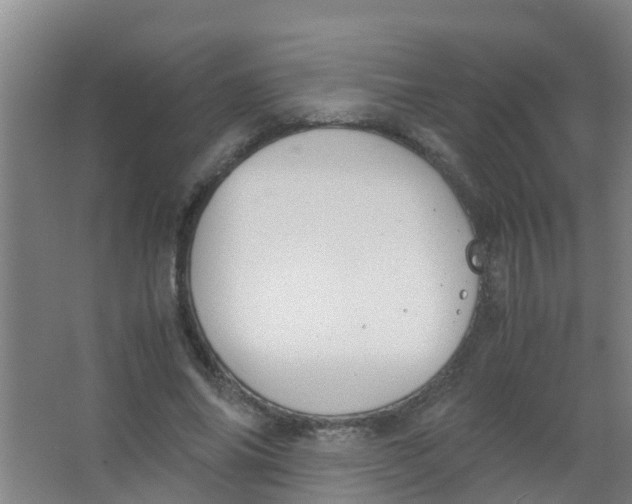 X0000067000686200604142259