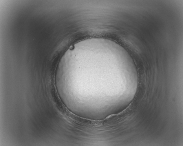 X0000067000687200604142259