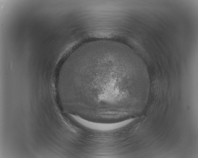 X0000067000688200604142259