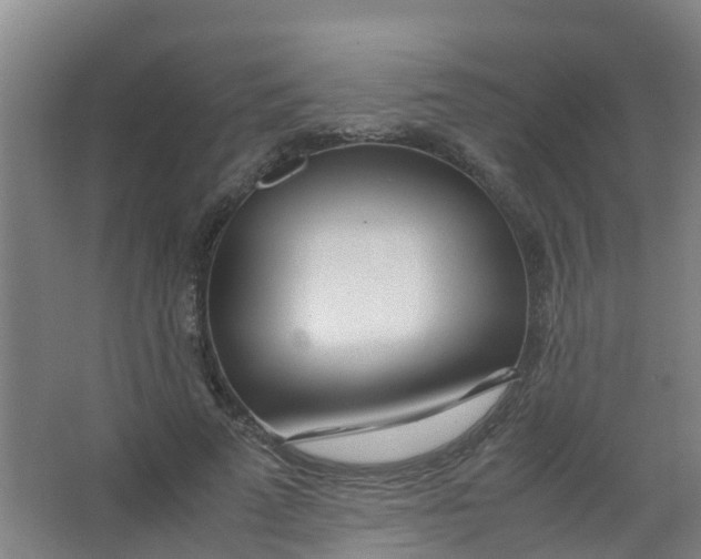 X0000067000689200604142259