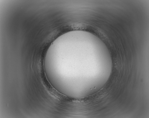 X0000067000690200604142259