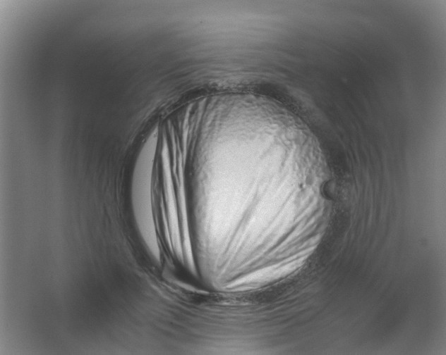 X0000067000691200604142259