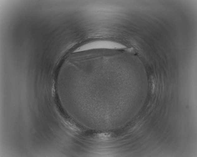 X0000067000692200604142259