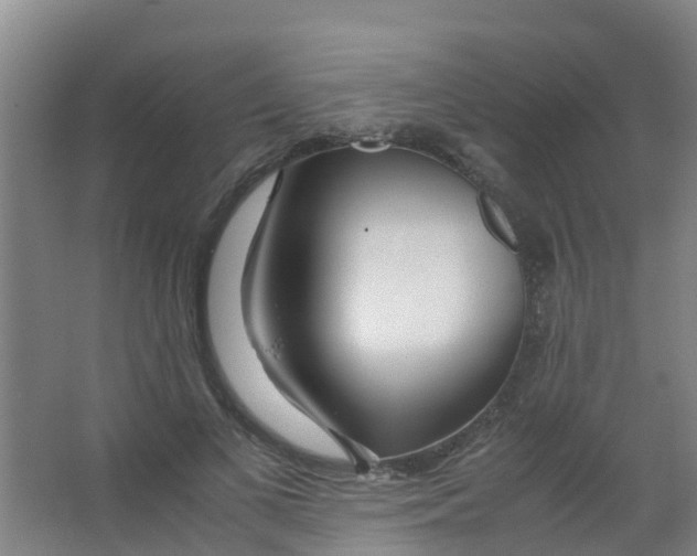 X0000067000693200604142259