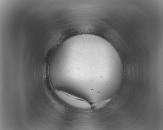 X0000067000694200604142259