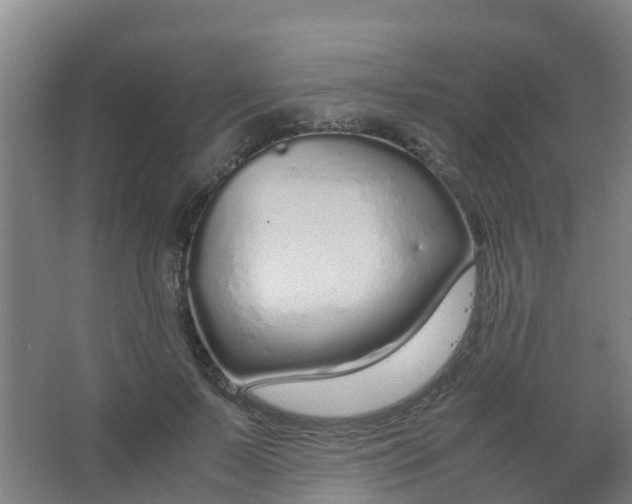 X0000067000695200604142259