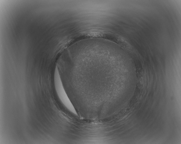 X0000067000696200604142259