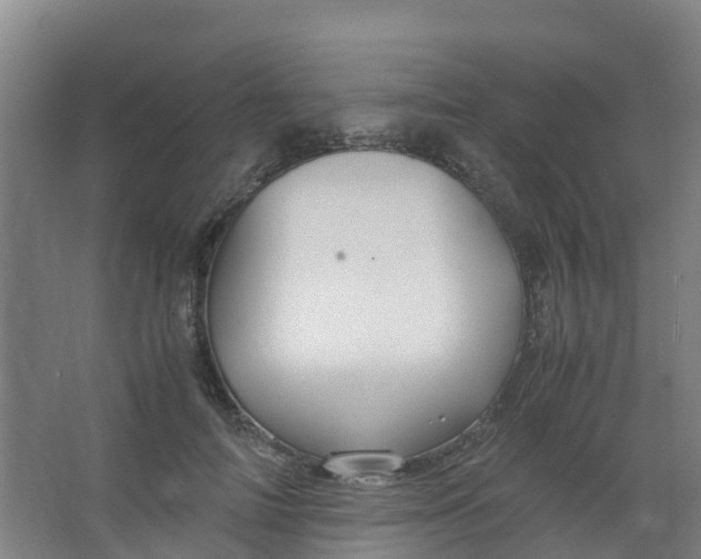 X0000067000698200604142259