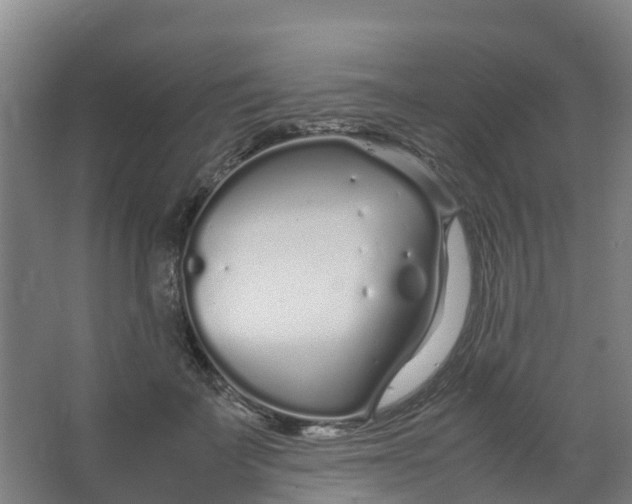 X0000067000699200604142259