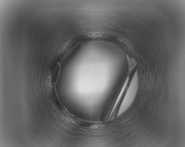 X0000067000700200604142259