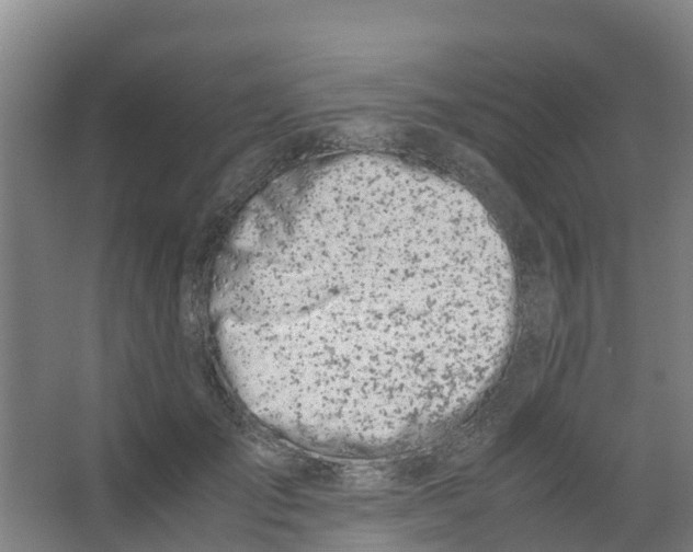 X0000067000701200604142259