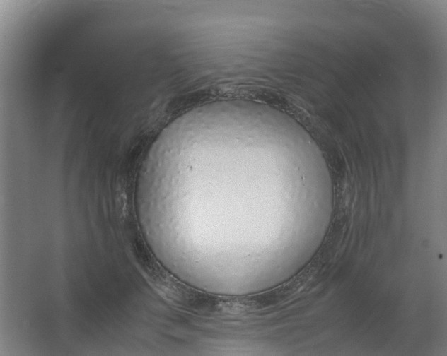 X0000067000703200604142259