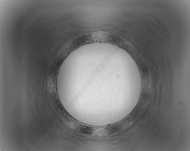 X0000067000705200604142259