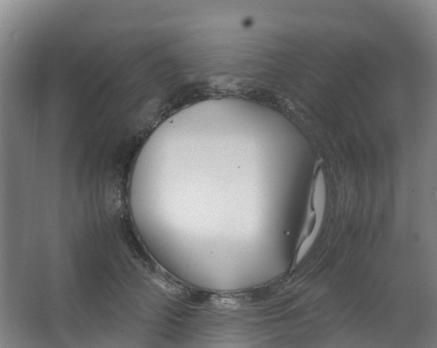 X0000067000706200604142259