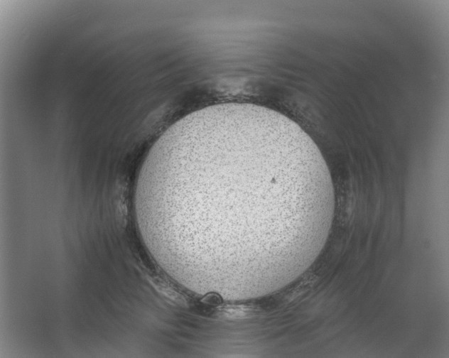 X0000067000710200604142259