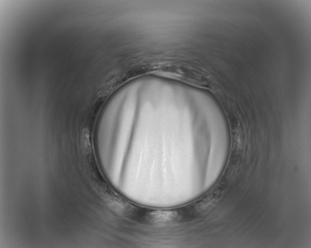 X0000067000711200604142259