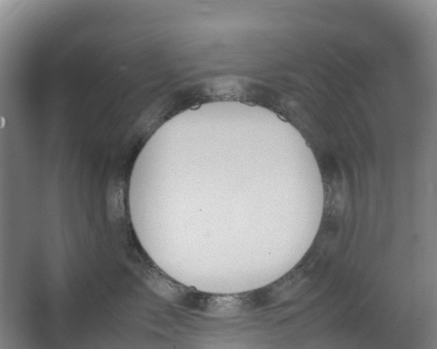 X0000067000717200604142259