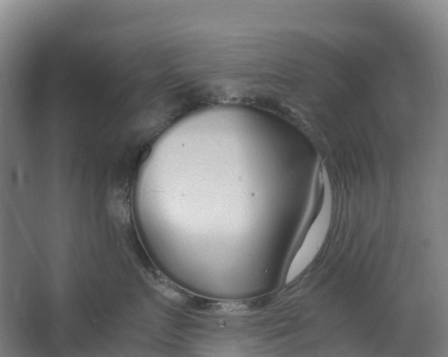 X0000067000719200604142259