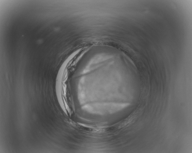 X0000067000720200604142259