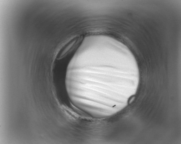 X0000067000721200604142258