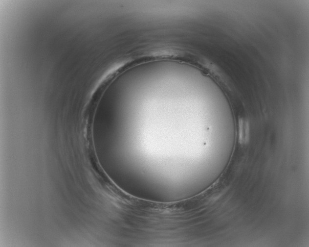 X0000067000723200604142258