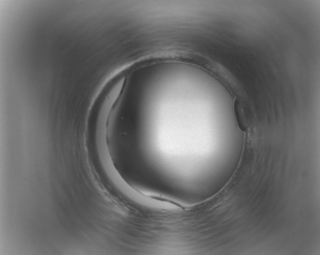 X0000067000724200604142258