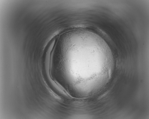 X0000067000725200604142258