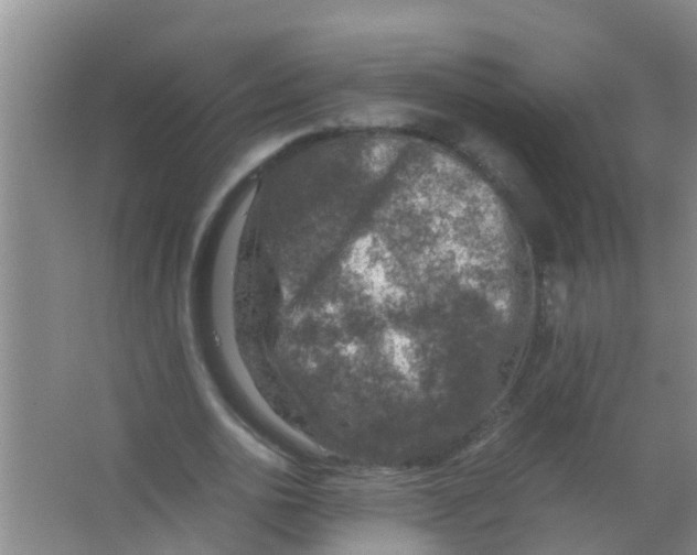 X0000067000726200604142258