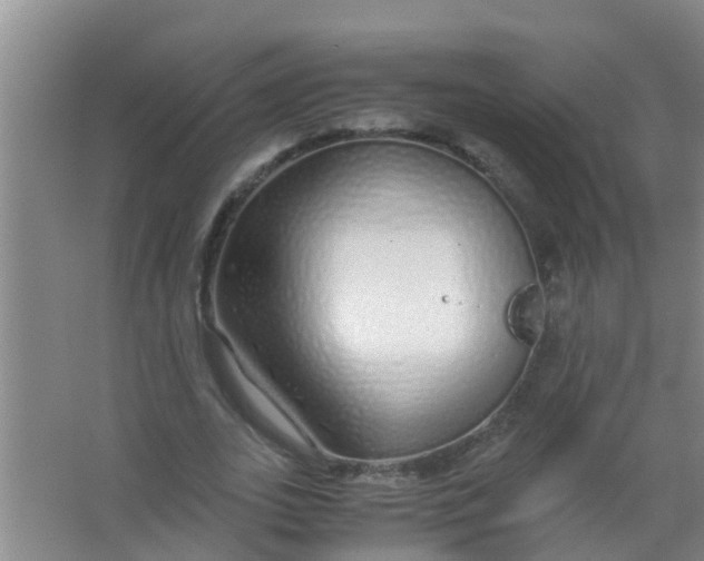 X0000067000727200604142258