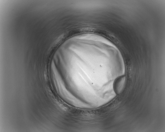 X0000067000729200604142258