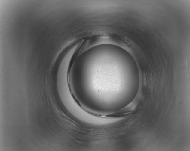 X0000067000731200604142258