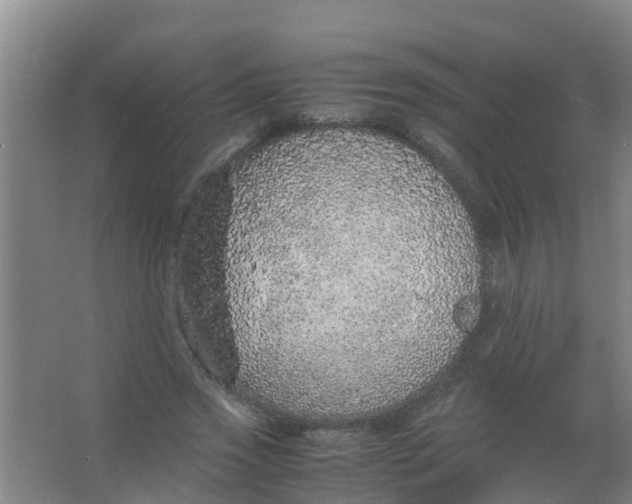 X0000067000733200604142258