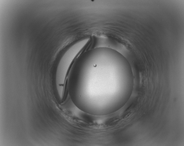 X0000067000735200604142258