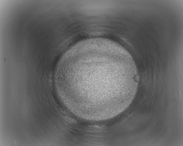 X0000067000737200604142258