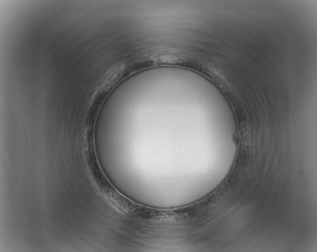 X0000067000738200604142258