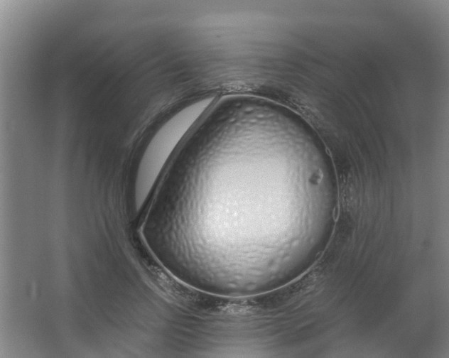 X0000067000742200604142258