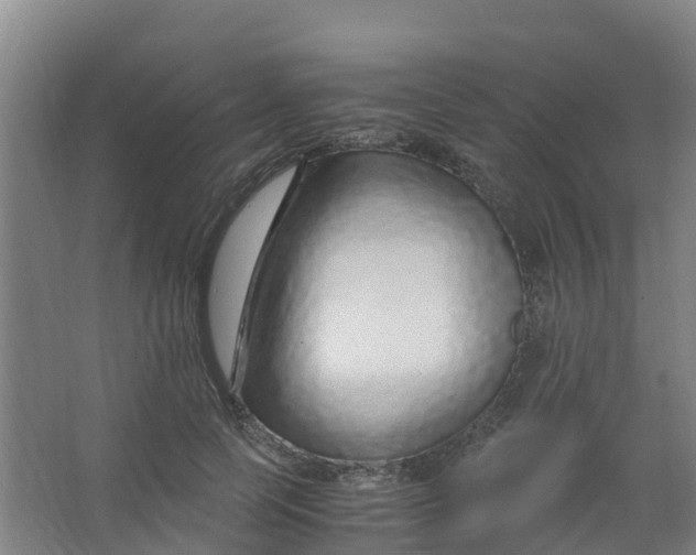 X0000067000745200604142258