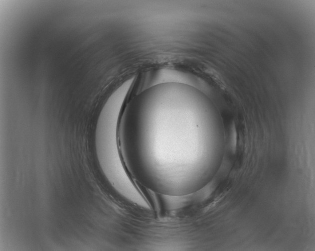 X0000067000750200604142258