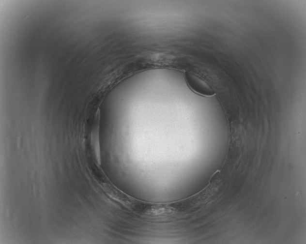 X0000067000752200604142258