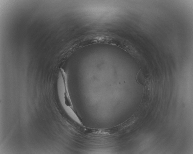 X0000067000754200604142258