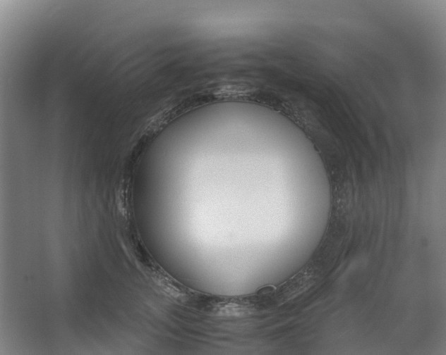 X0000067000755200604142258