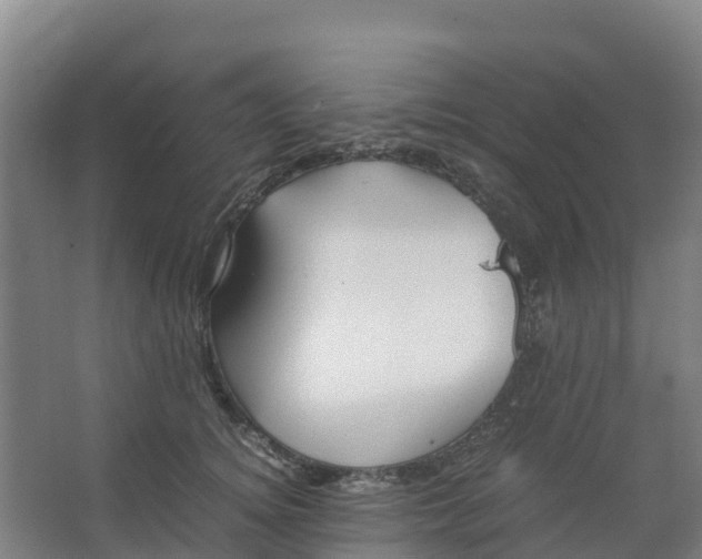 X0000067000756200604142258