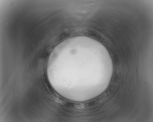 X0000067000757200604142259