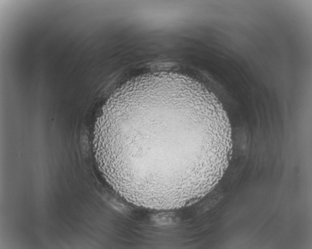 X0000067000761200604142259