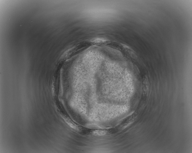 X0000067000762200604142259