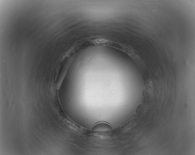 X0000067000763200604142259