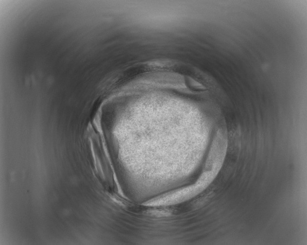 X0000067000765200604142259